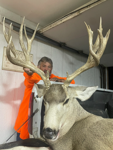 Colorado's Deer Hunting Thrills